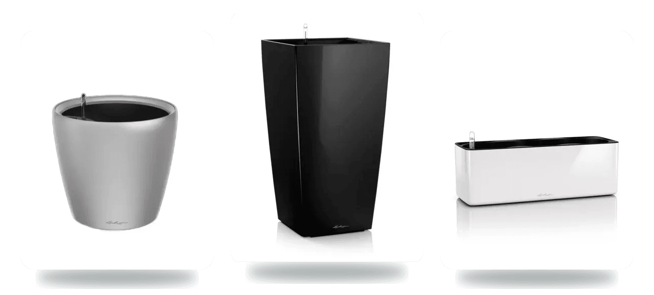 LECHUZA guldonlari: CLASSICO, CUBICO va CUBE
