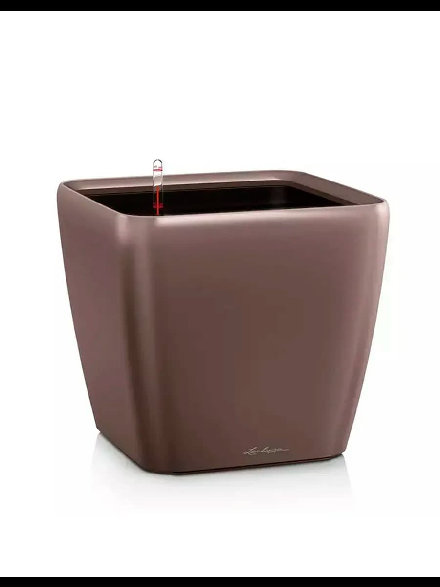 Tashqi guldon QUADRO Premium LS 21