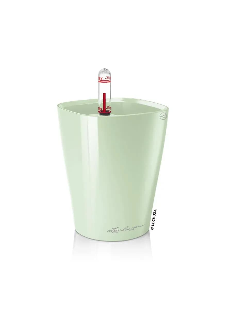 Guldon Mini Deltini