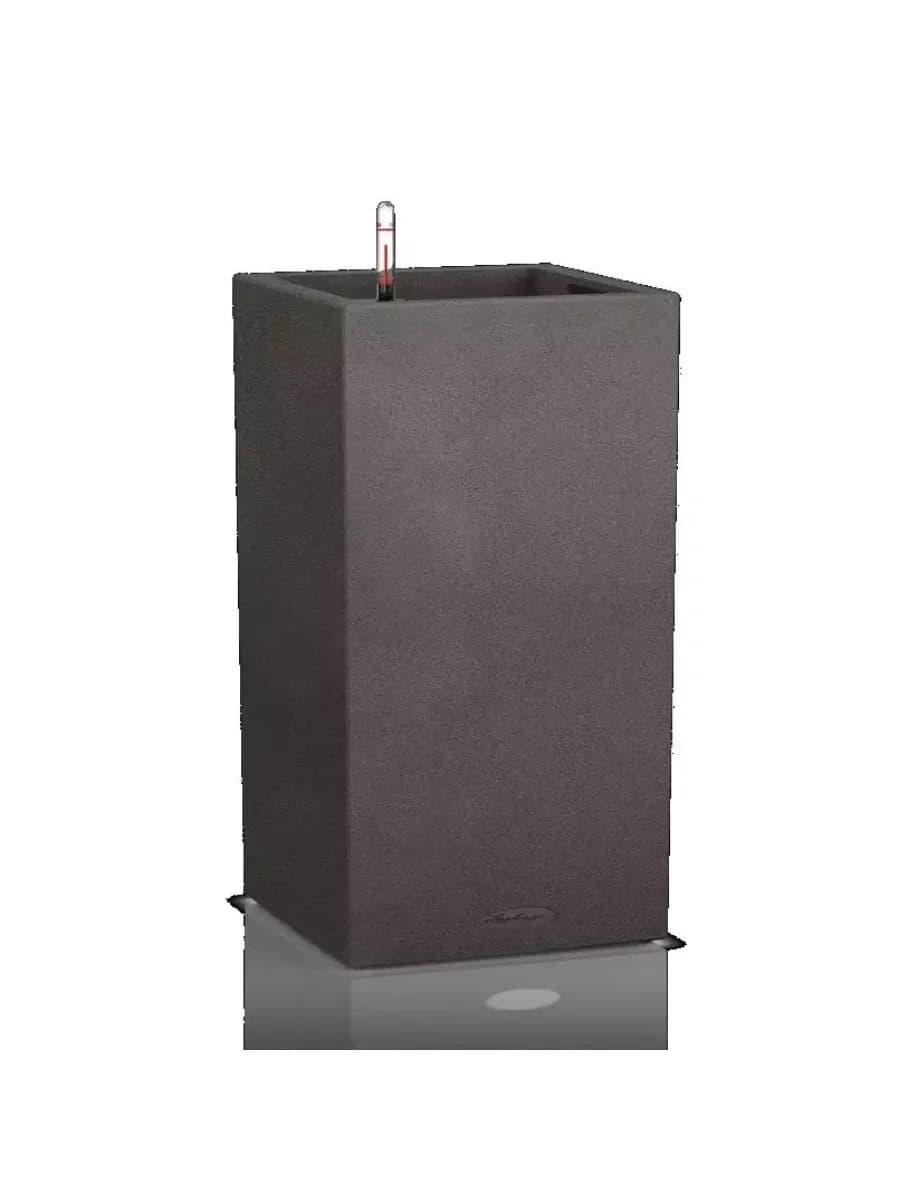 CANTO Stone 40 low Серый
