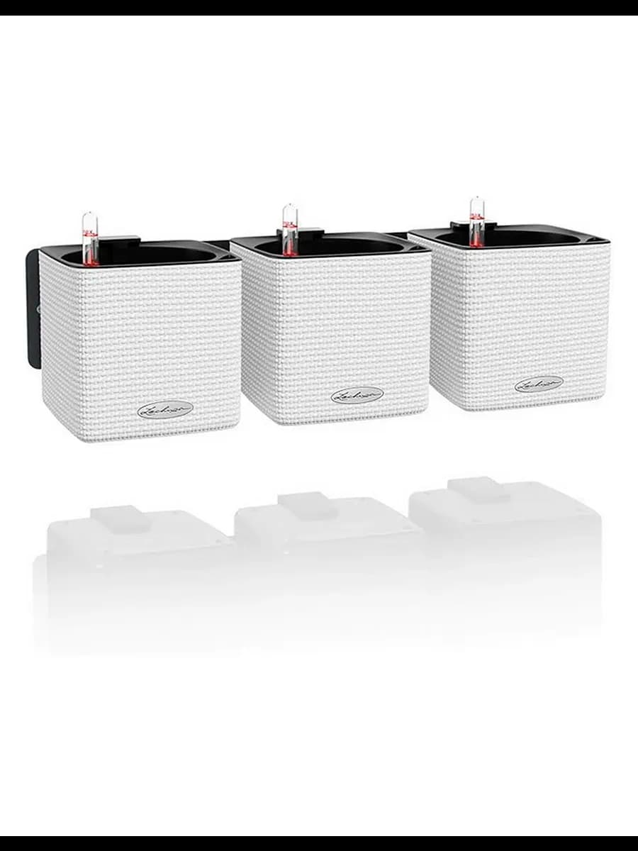 Guldon Green Wall Home Kit