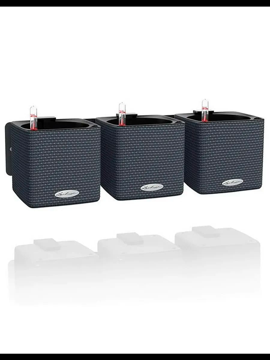 Guldon Green Wall Home Kit